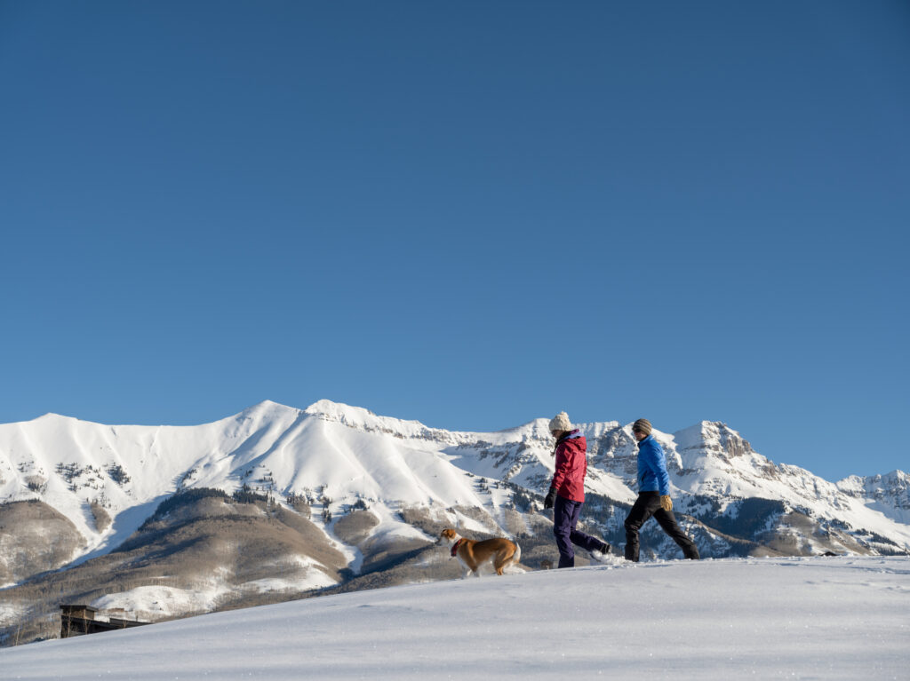 Stellar Tours Snowshoeing Adventure in Telluride